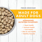 Instinct Raw Longevity Freeze Dried Bites Adult Dog Food Chicken - 16oz
