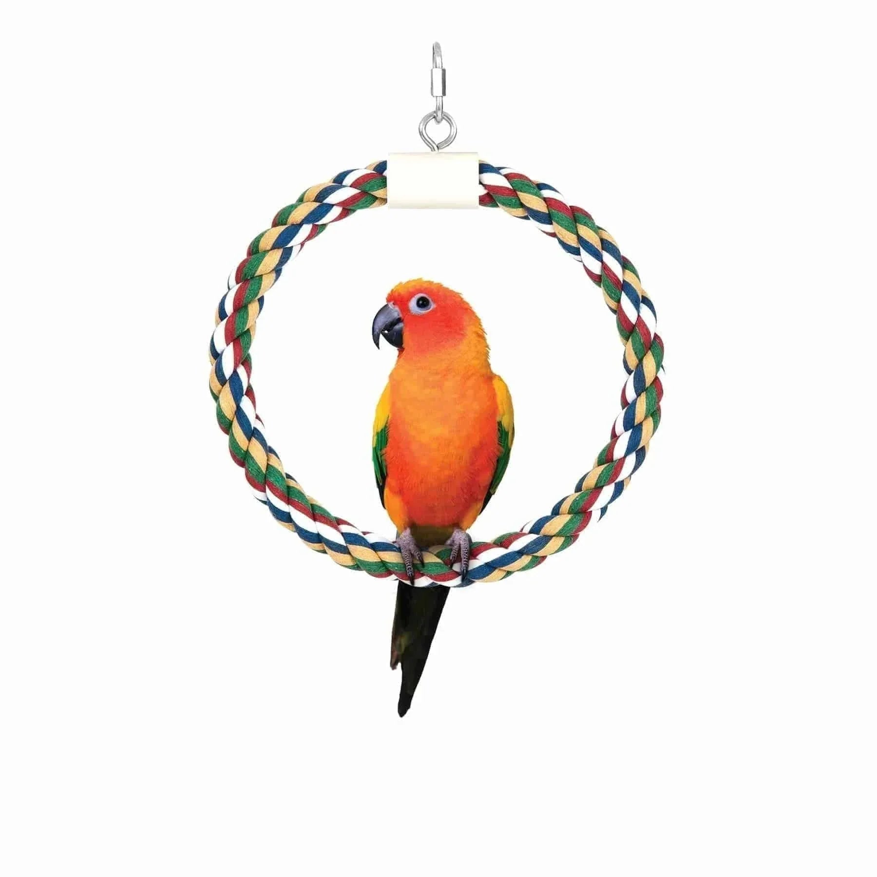 JW Swing N' Perch Bird Toy - Large - The Pet Source