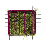 Kaytee Hay Buffet Feeder with Snap-Lock Lid - The Pet Source