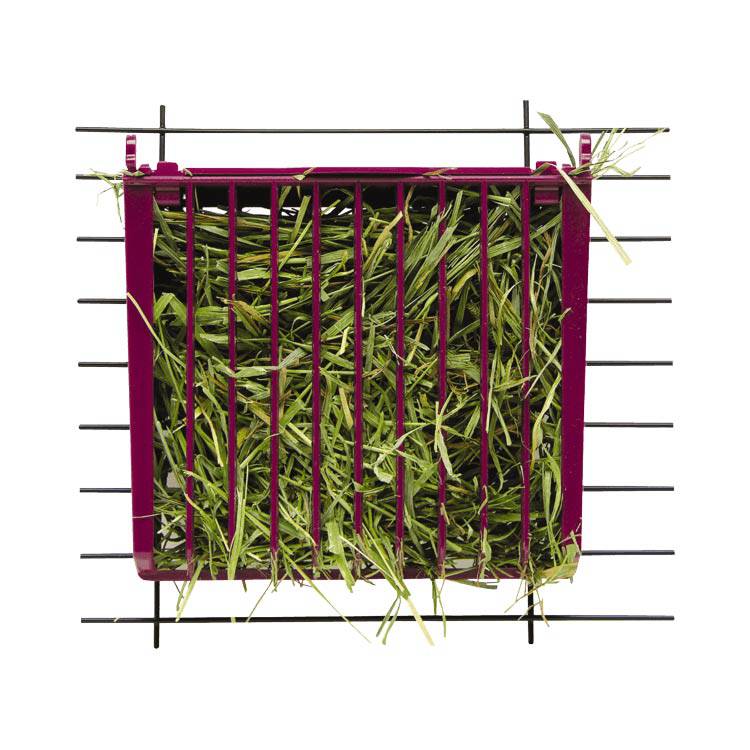 Kaytee Hay Buffet Feeder with Snap-Lock Lid - The Pet Source