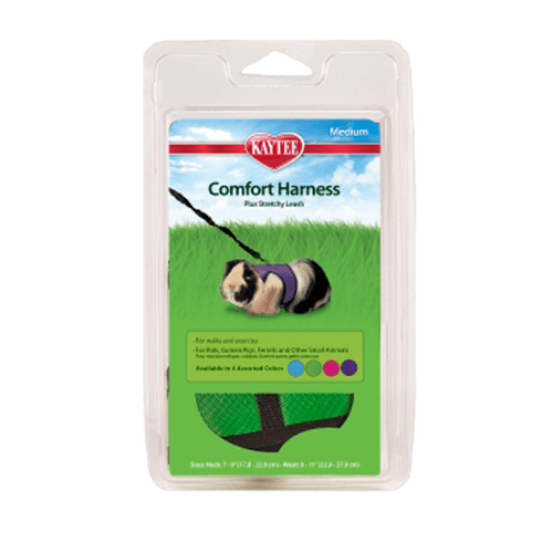 Kaytee Comfort Harness & Stretchy Leash -  Medium - The Pet Source