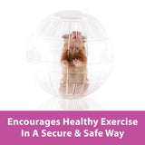 Kaytee Giant Run-About Mini Exercise Ball Clear - 7 Inch - The Pet Source