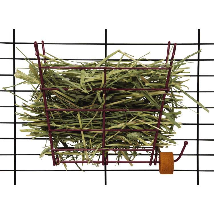Kaytee Hay Manger Feeder With Salt Hanger - The Pet Source