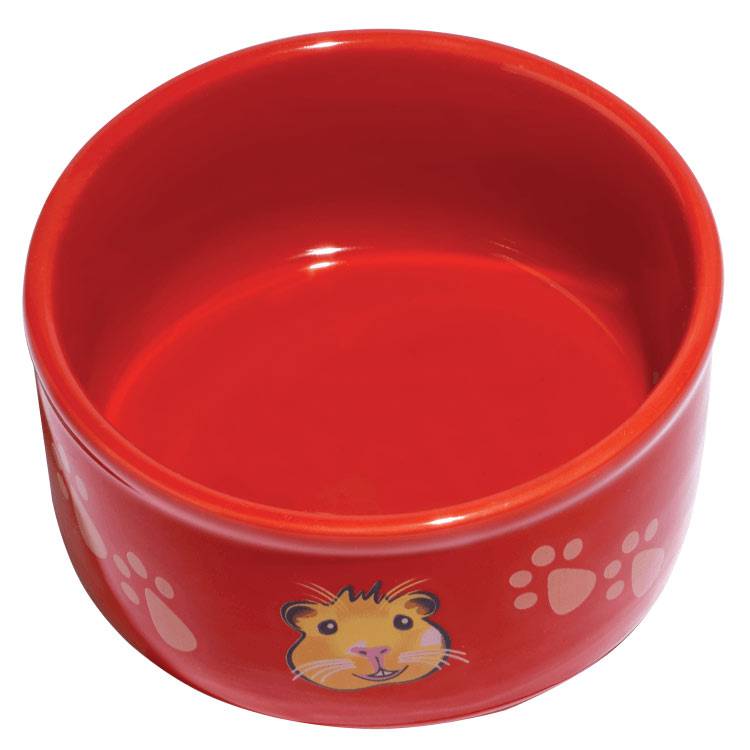 Kaytee Paw-Print PetWare Bowl - Guinea Pig - The Pet Source