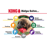 Kong Classic XLarge - The Pet Source