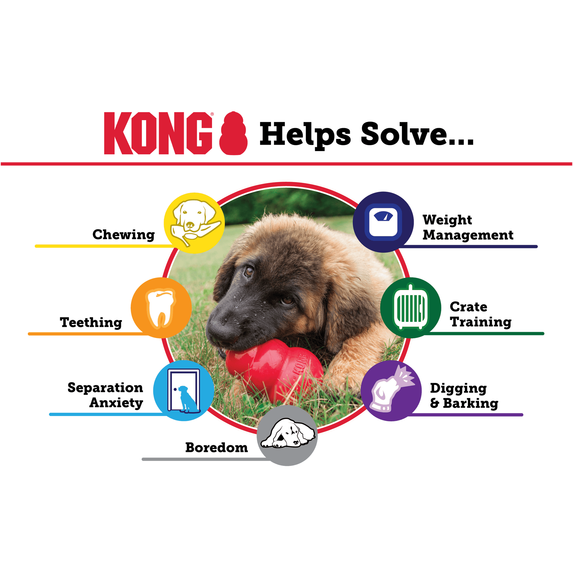 Kong Classic Large - The Pet Source