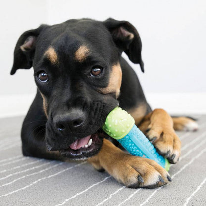 Kong Corestrength Bone Medium-Large - The Pet Source