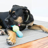 Kong Corestrength Bow Tie Small-Medium - The Pet Source