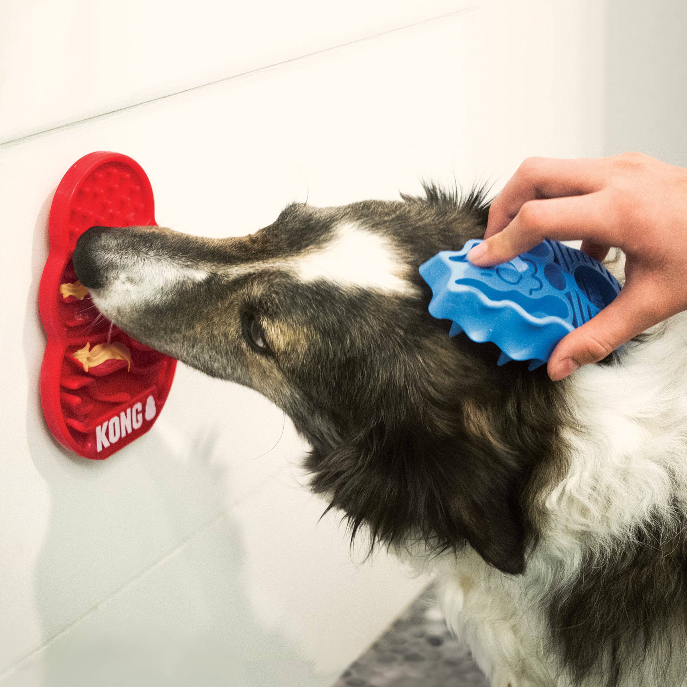 Kong Licks for Dogs - Small - The Pet Source