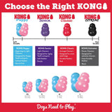 Kong Puppy - Small - The Pet Source