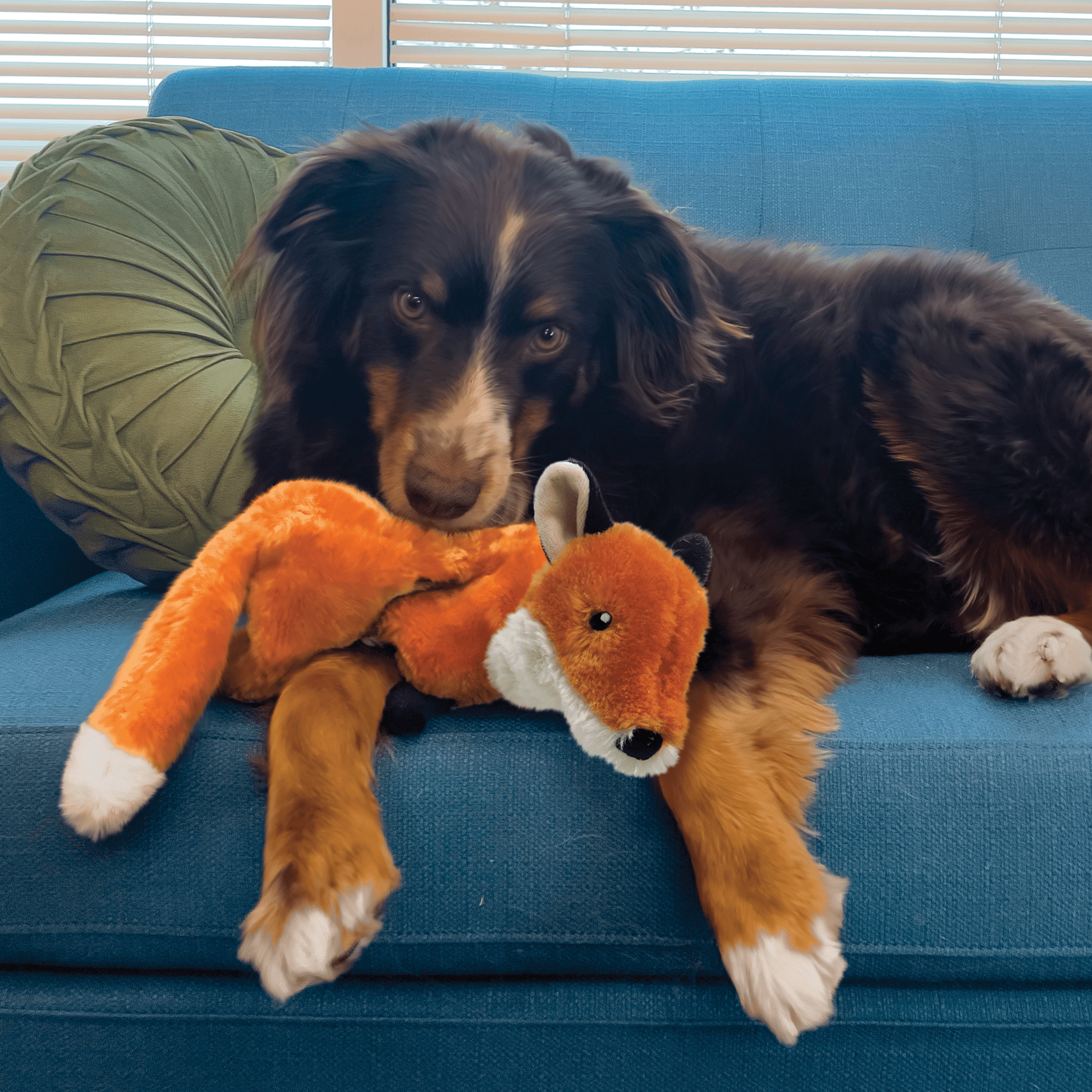 Kong Wild Low Stuff Fox Medium - The Pet Source