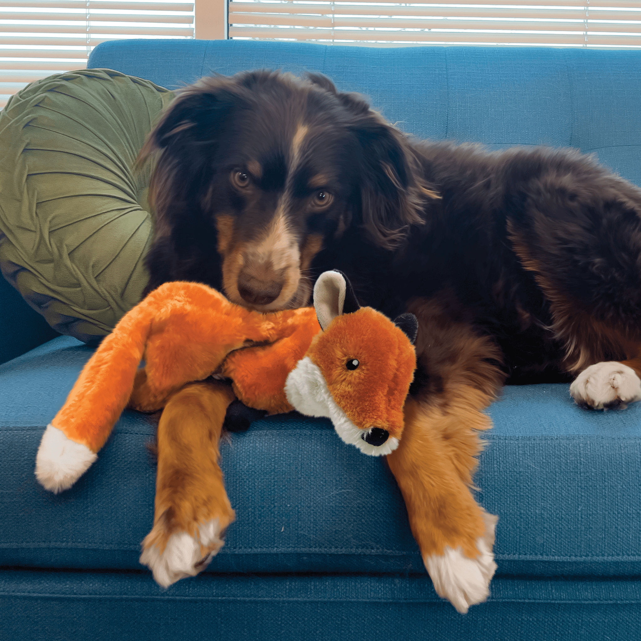 Kong Wild Low Stuff Fox Medium - The Pet Source