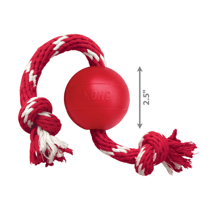 Kong Ball With Rope - The Pet Source