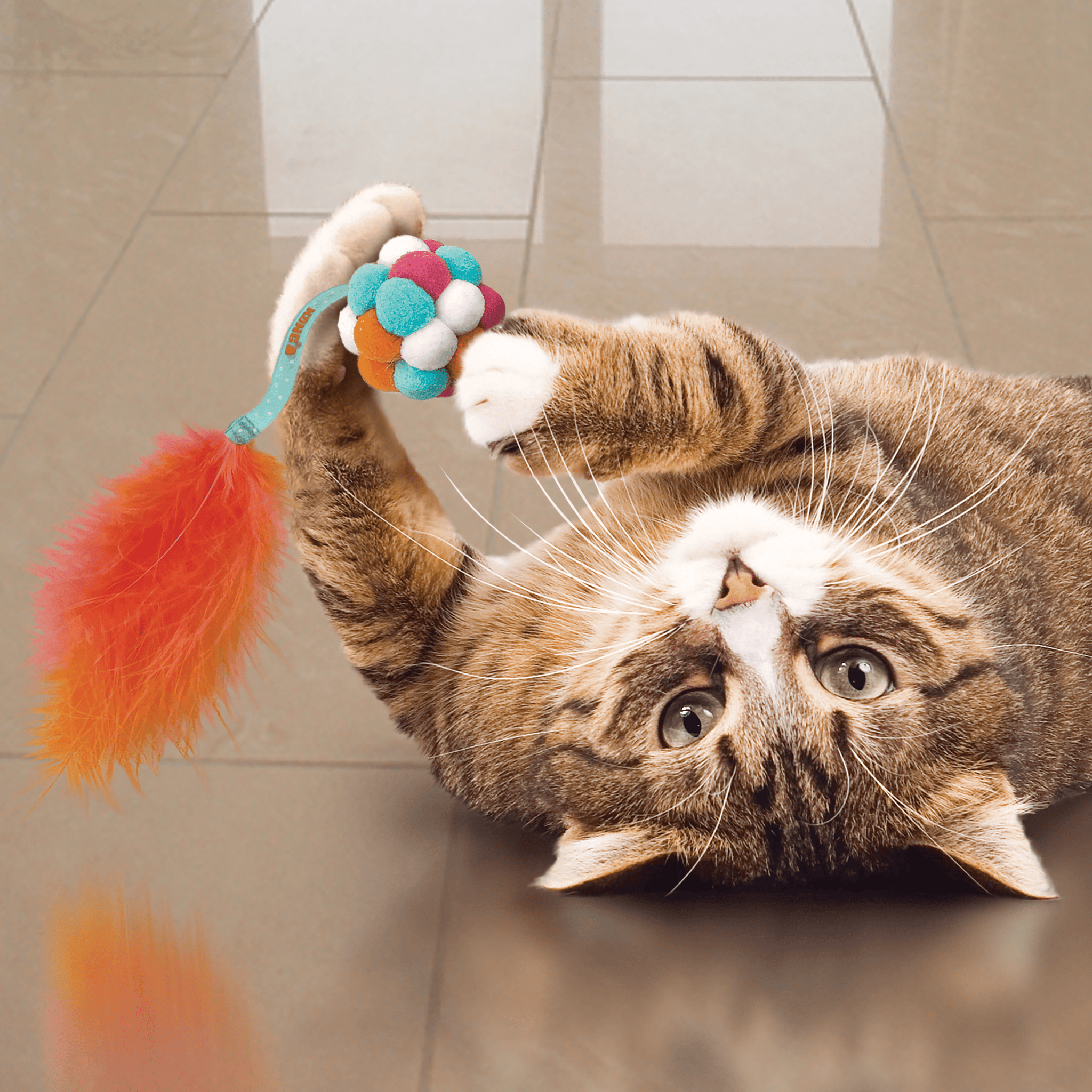 Kong Cat Active Bubble Ball - The Pet Source