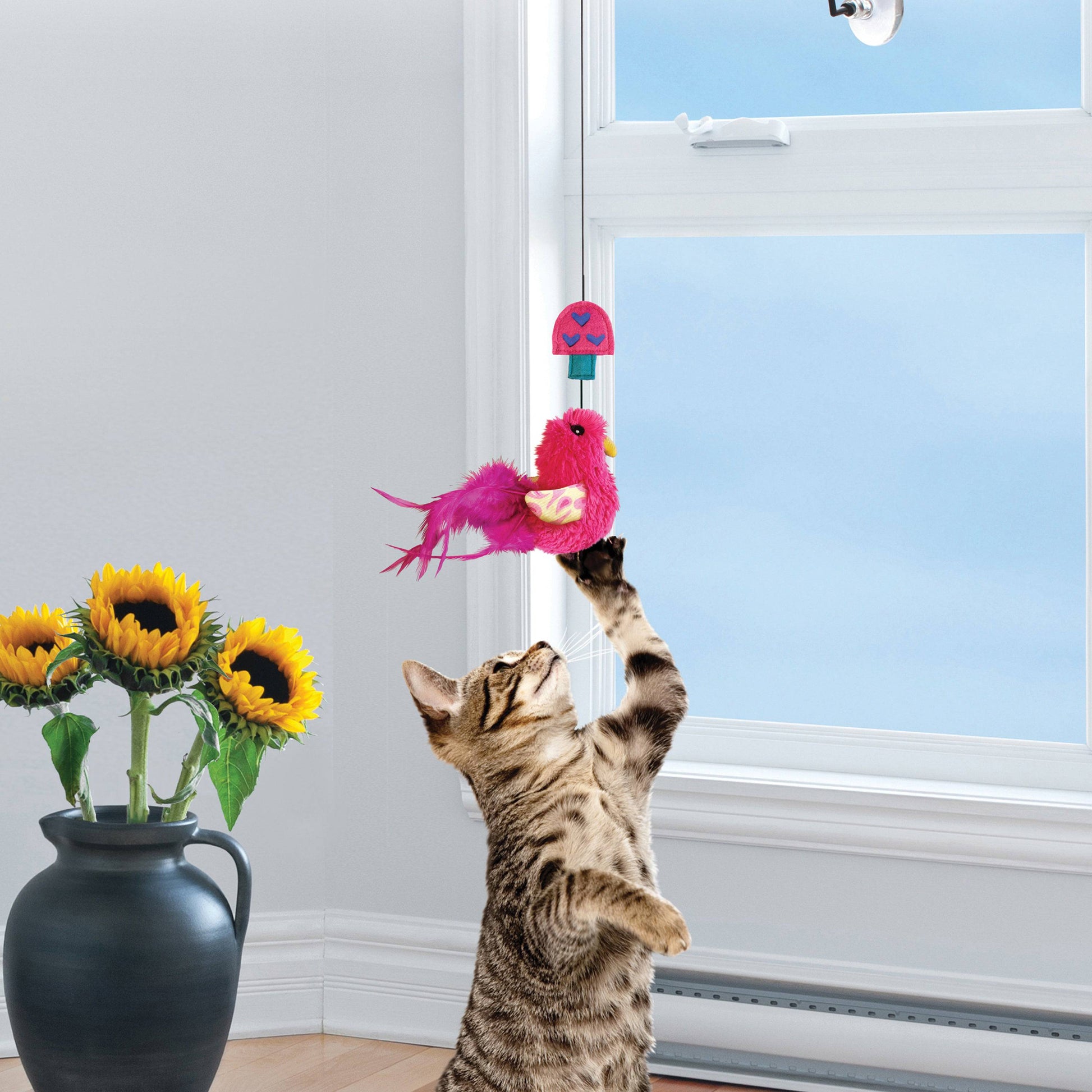Kong Connects Window Teaser - The Pet Source