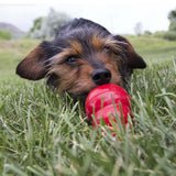 Kong Easy Treat Liver Dog Treat - The Pet Source