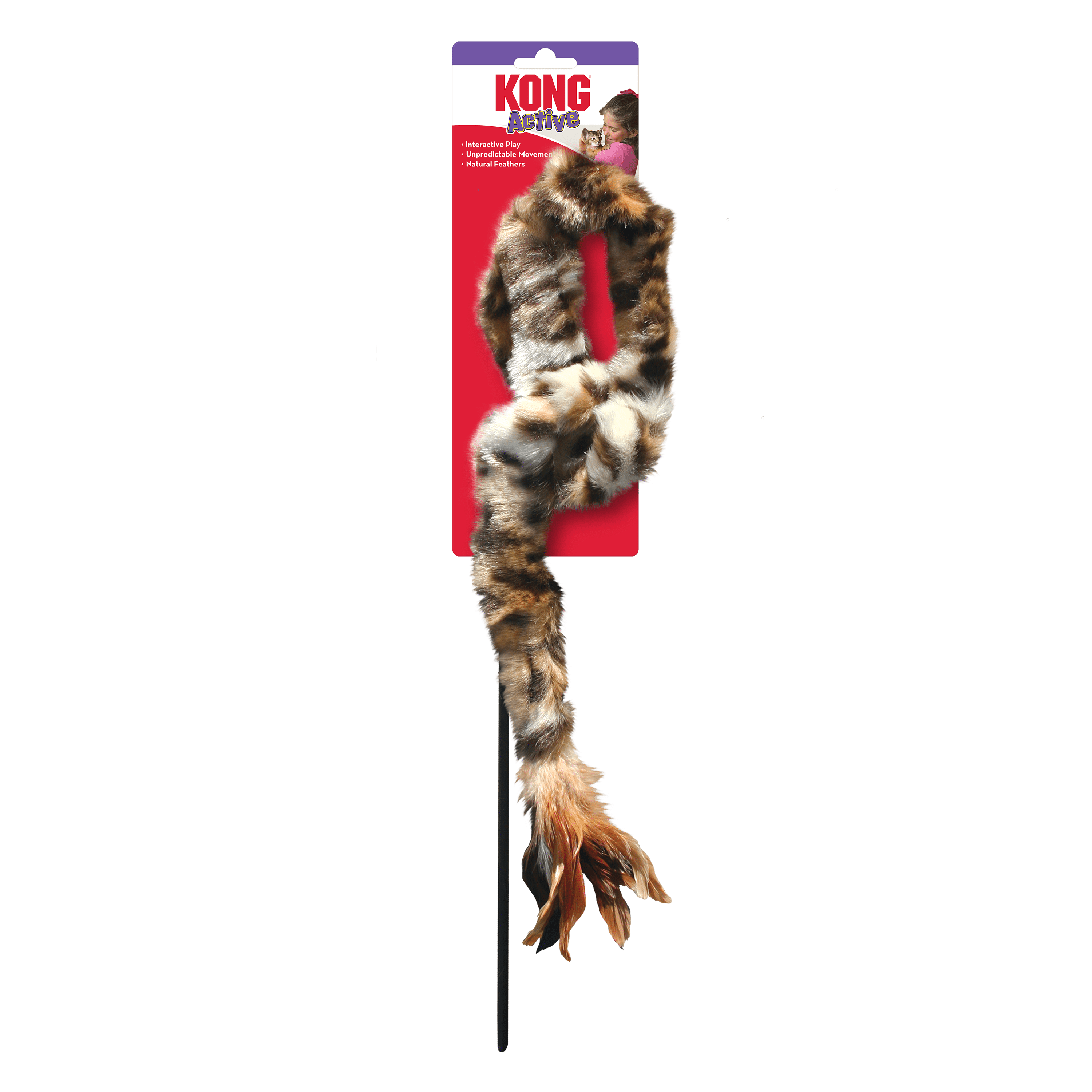 Kong Teaser Swizzle Bird - The Pet Source