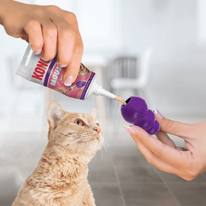 Kong Mousse Salmon Cat Treat 2.5 oz - The Pet Source