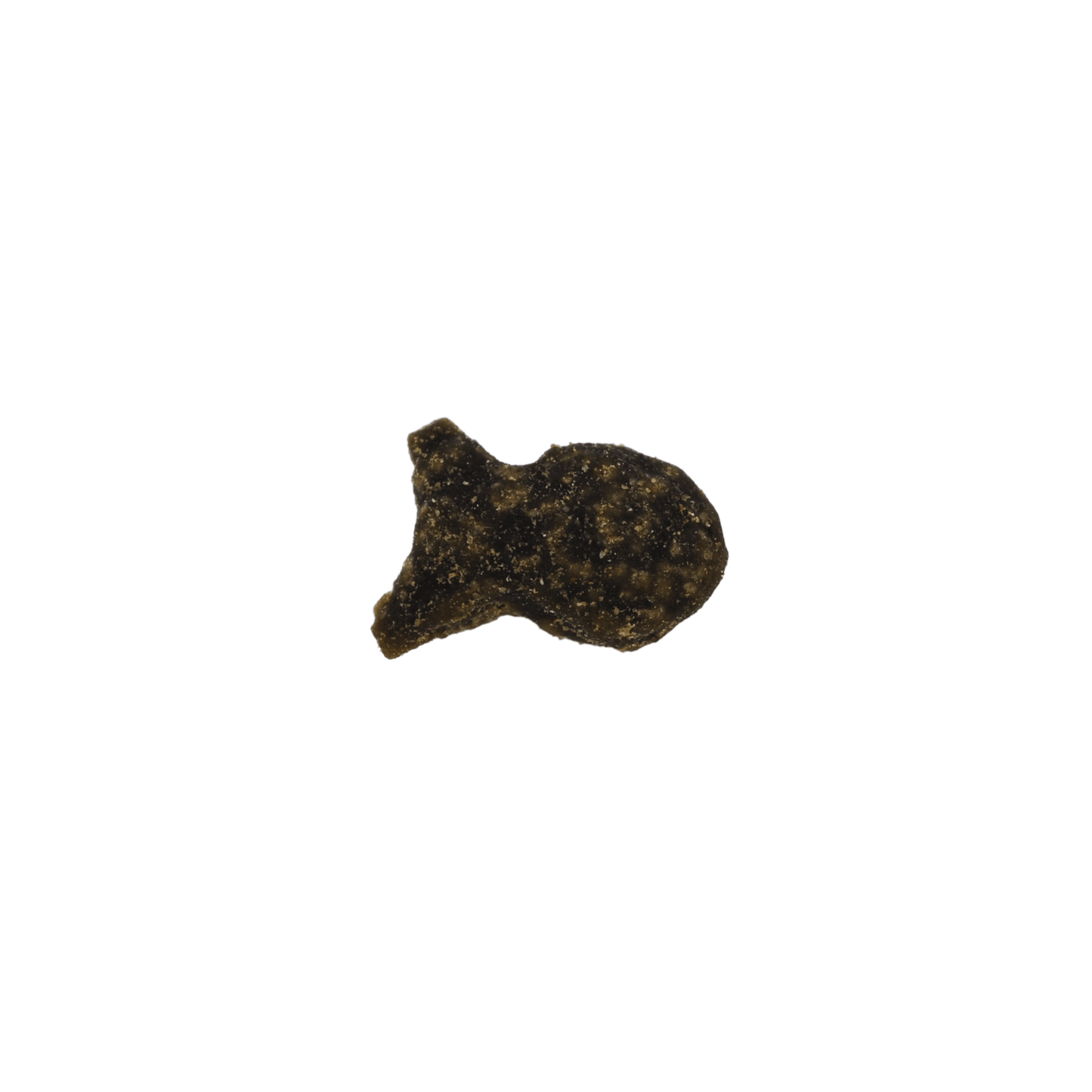 Kong Nibbies WitheFish Recipe Crunchy Cat Treats - 2 oz - The Pet Source