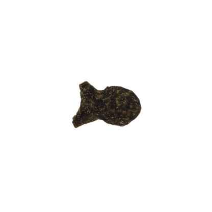 Kong Nibbies WitheFish Recipe Crunchy Cat Treats - 2 oz - The Pet Source