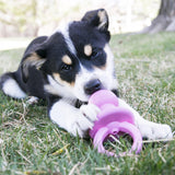 Kong Puppy Binkie - Small - The Pet Source