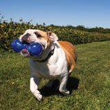 Kong Squeezz Dumbbell - Assorted Colors - Small - The Pet Source