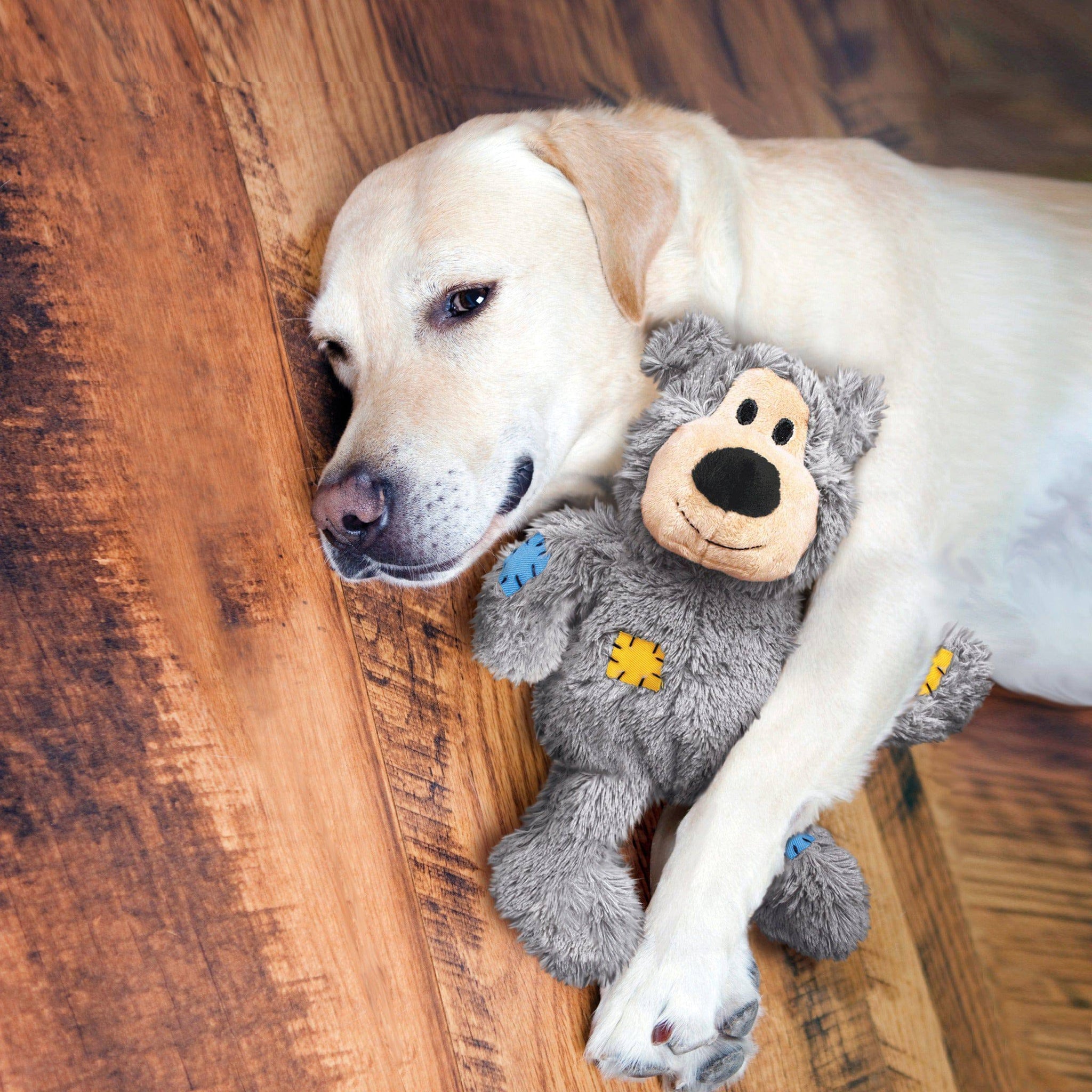 Kong Wild Knots Bear - Assorted Colors - Extra Large - The Pet Source