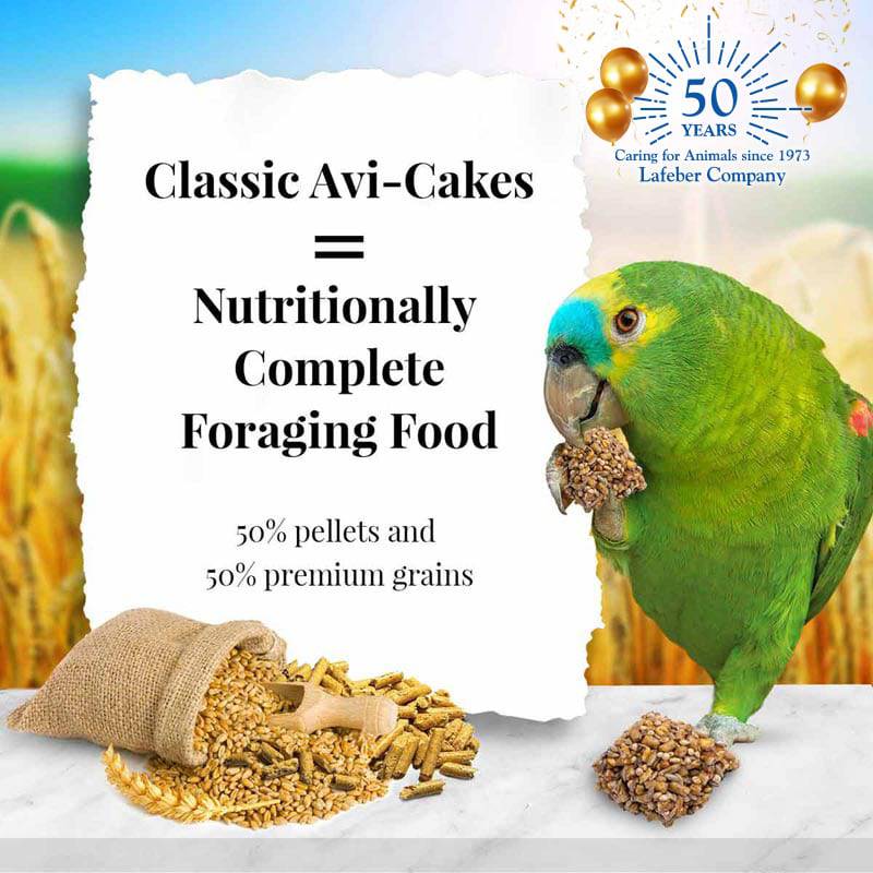 Lafeber Classic Avi-Cakes for Parrot - 12oz - The Pet Source