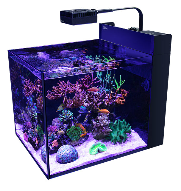 Reef LED 50 | alfasaac.com