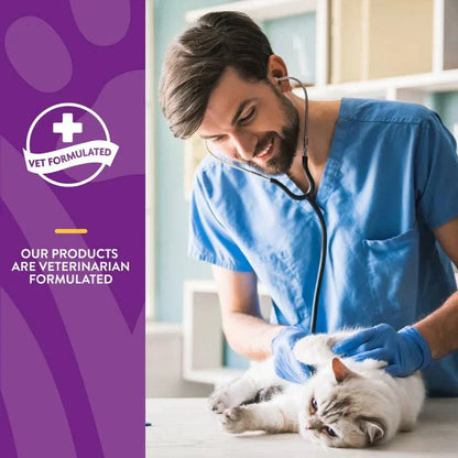 NaturVet VitaPet Adult Daily Vitamins Cat Soft Chews - 60ct - The Pet Source