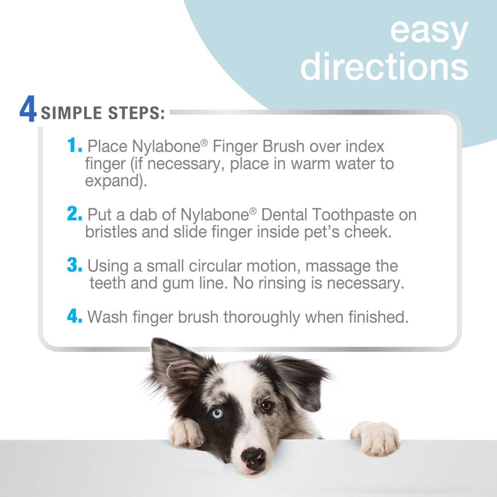 Nylabone Advanced Oral Care Finger Brush - The Pet Source