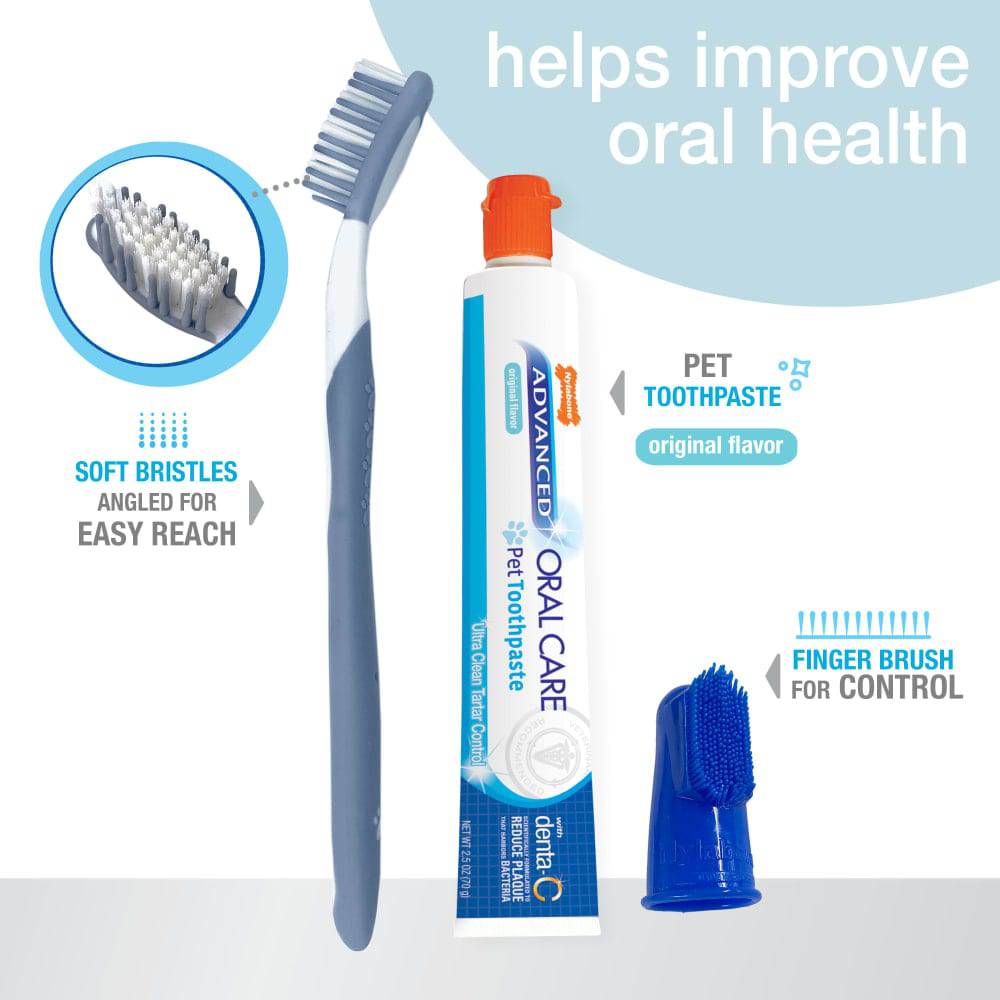 Nylabone Advanced Oral Care Dog Dental Kit - The Pet Source