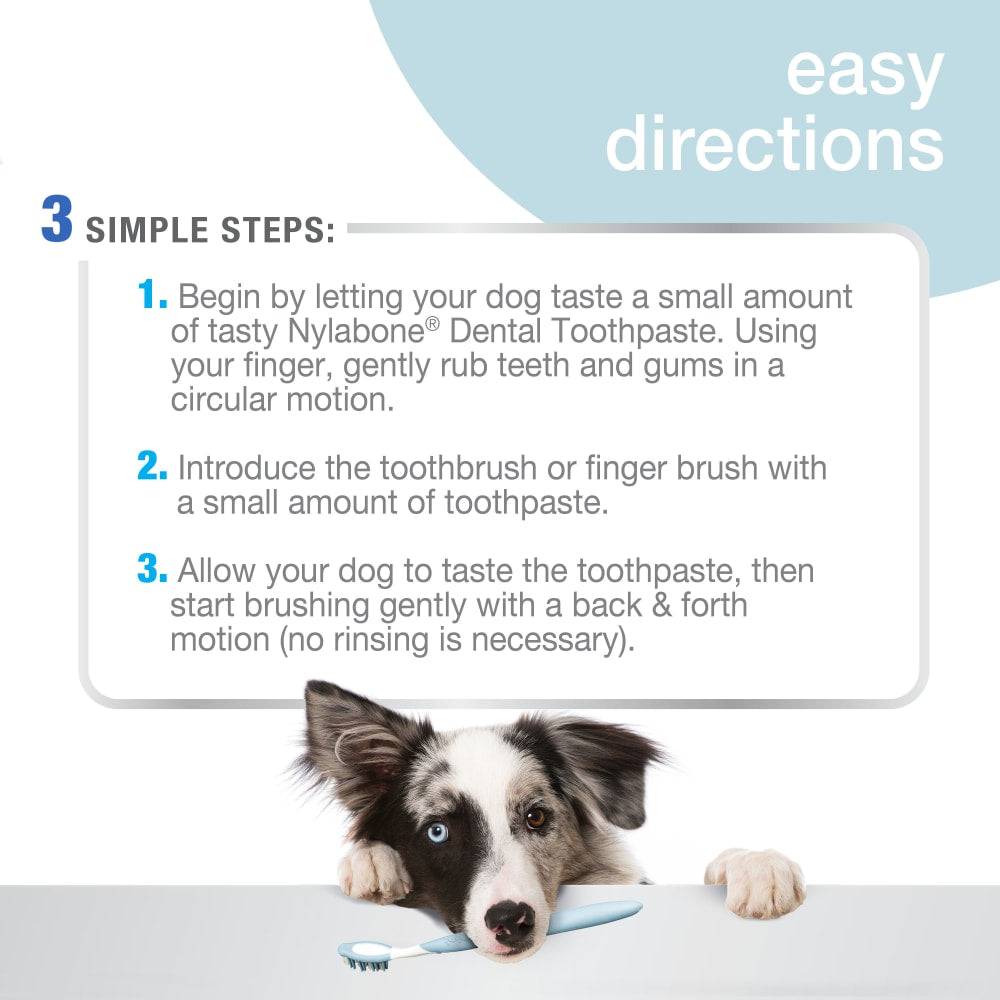 Nylabone Advanced Oral Care Dog Dental Kit - The Pet Source