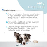 Nylabone Advanced Oral Care Dog Dental Kit - The Pet Source