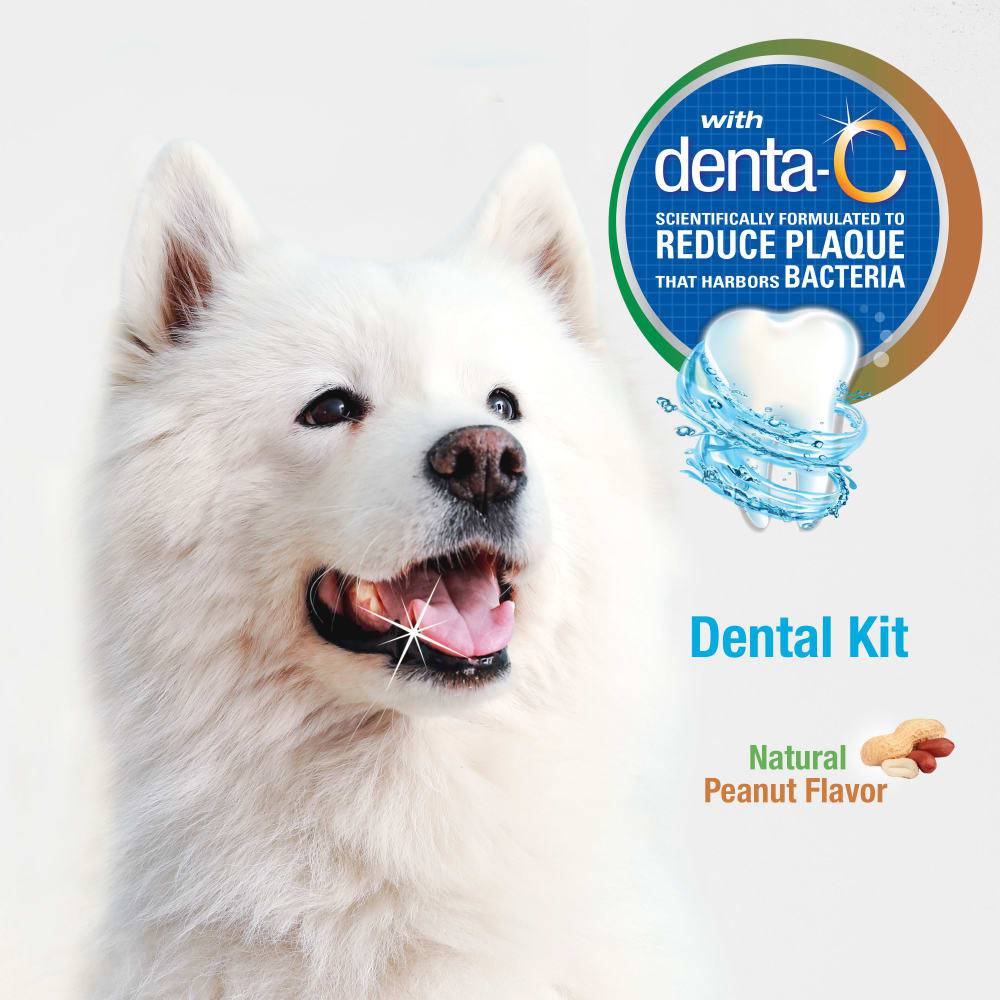 Nylabone Advanced Oral Care Dog Dental Kit - The Pet Source
