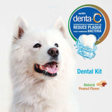 Nylabone Advanced Oral Care Dog Dental Kit - The Pet Source