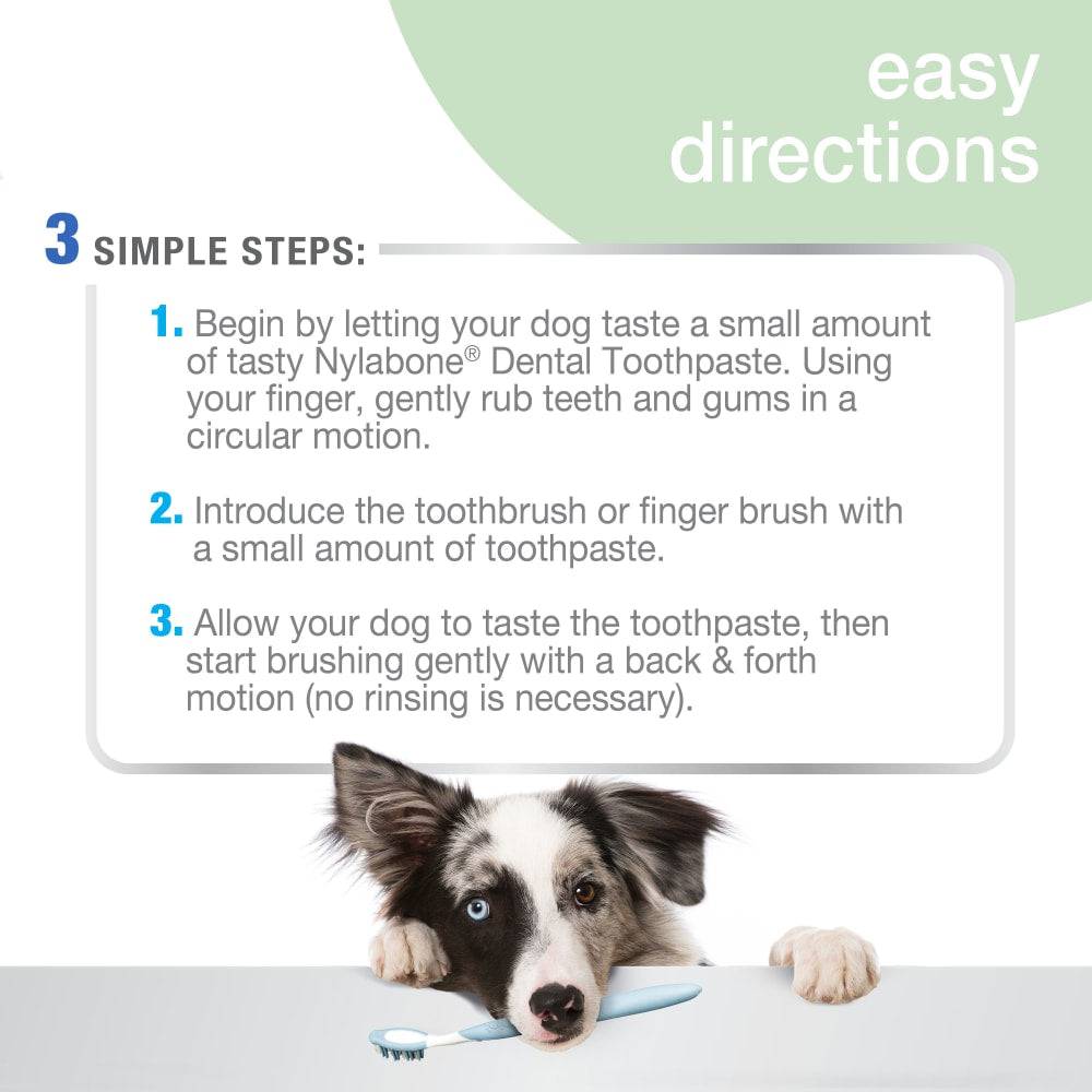Nylabone Advanced Oral Care Natural Toothpaste - The Pet Source