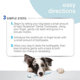 Nylabone Advanced Oral Care Tartar Control Dog Toothpaste - The Pet Source