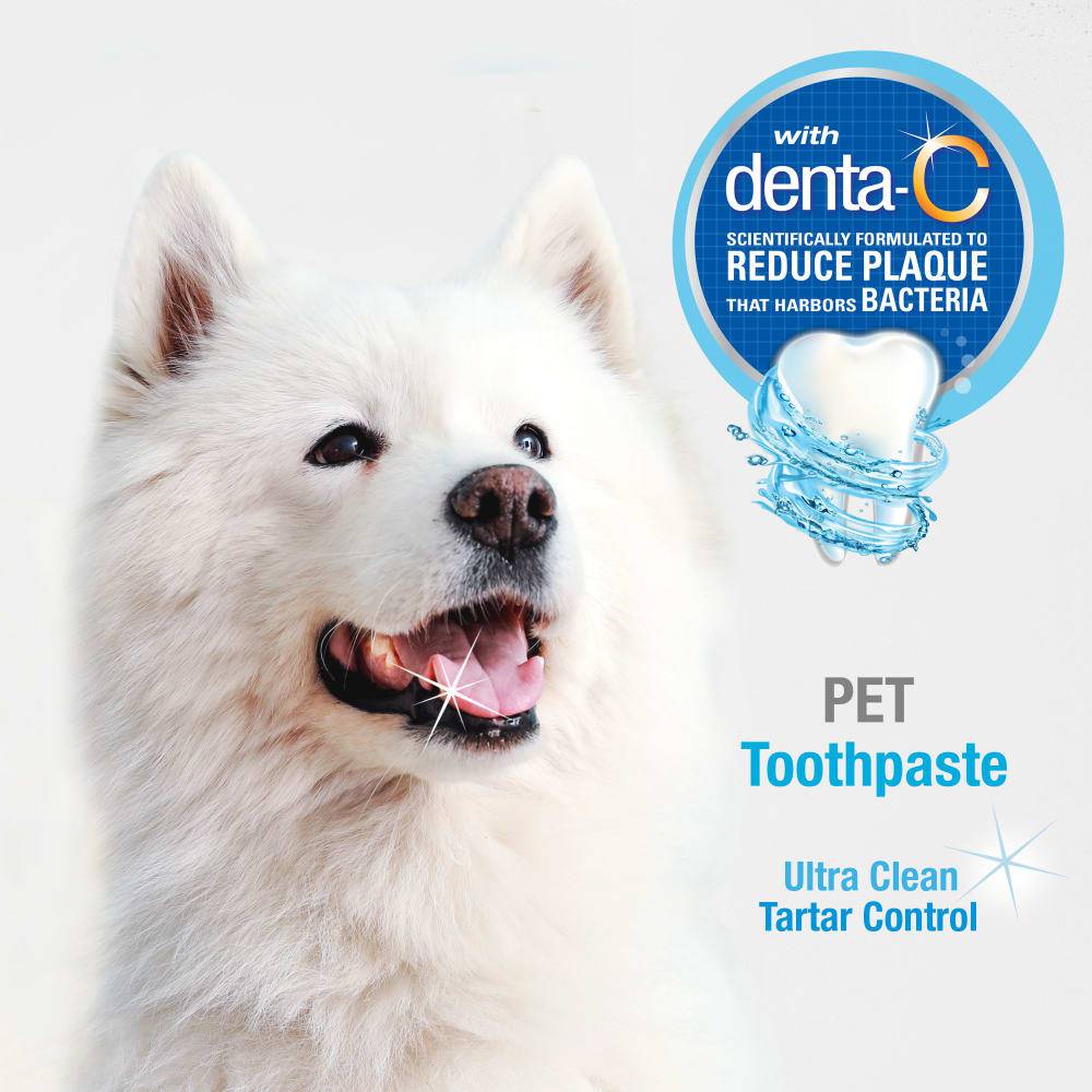 Nylabone Advanced Oral Care Tartar Control Dog Toothpaste - The Pet Source