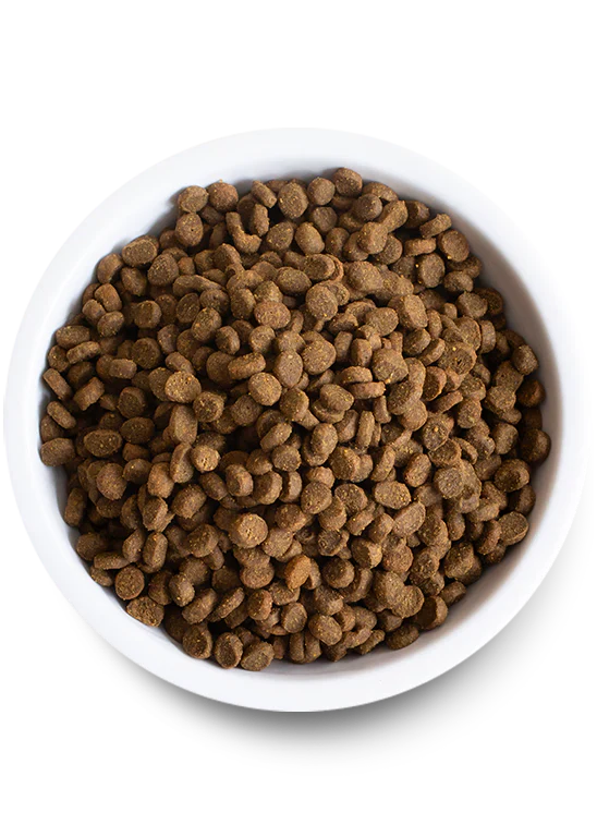 Open Farm Homestead Turkey & Chicken Dry Cat Food - 8lb