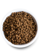 Open Farm Homestead Turkey & Chicken Dry Cat Food - 2lb