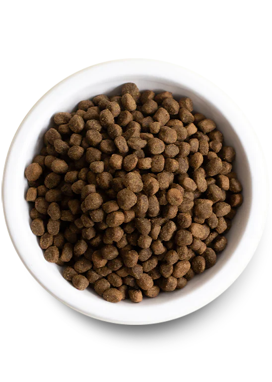 Open Farm Homestead Turkey & Chicken Grain Free Dry Dog Food - 22lb