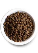Open Farm Homestead Turkey & Ancient Grains Dry Dog Food - 22lb