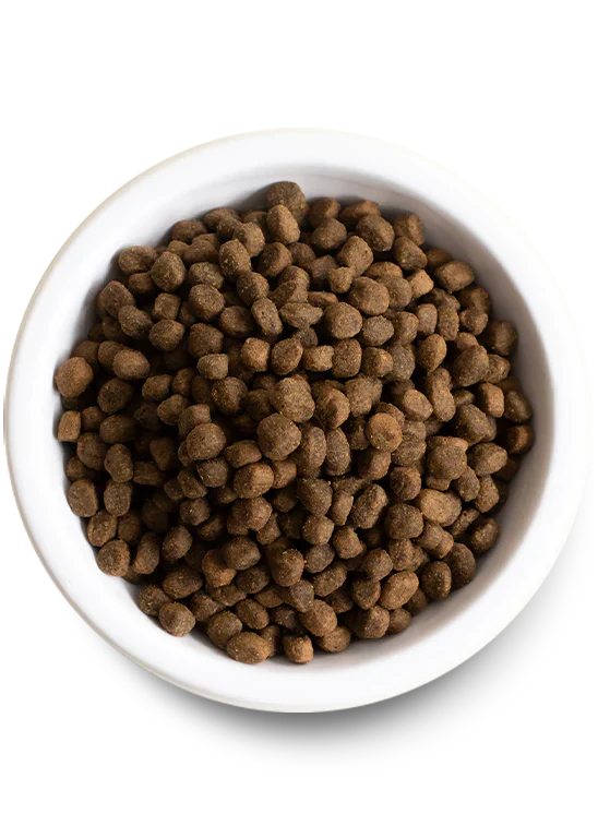 Open Farm Homestead Turkey & Ancient Grains Dry Dog Food - 4lb