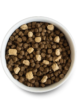 Open Farm Open Prairie Ancient Grains RawMix Dry Dog Food - 3.5lb