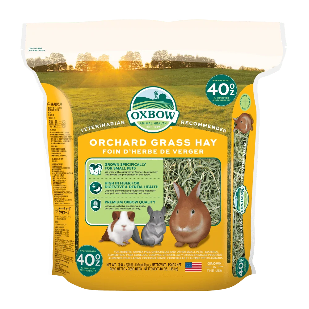 Oxbow Orchard Grass Hay - 40oz - The Pet Source