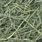 Oxbow Orchard Grass Hay - 9lb - The Pet Source