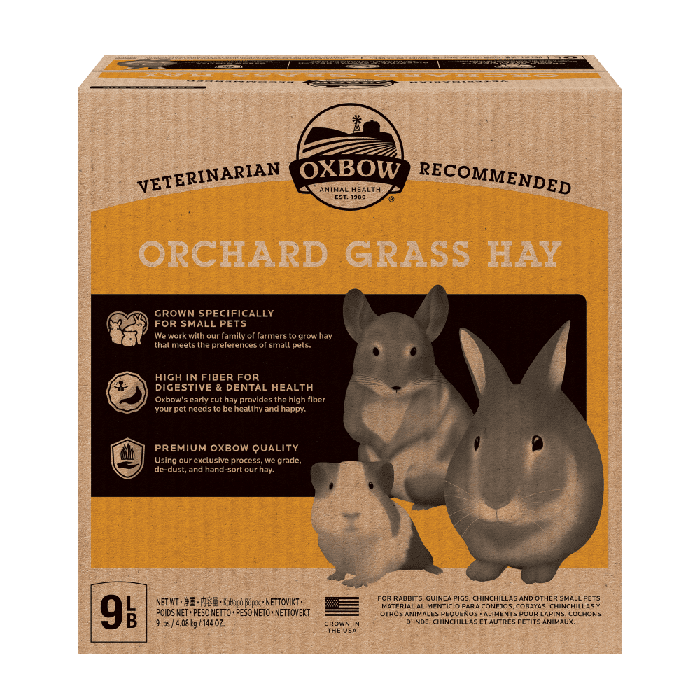 Oxbow Orchard Grass Hay - 9lb - The Pet Source