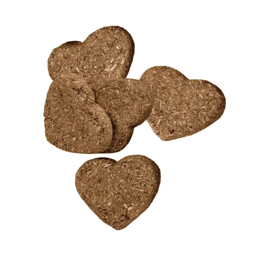 Oxbow Simple Rewards Veggie Treats - 3oz - The Pet Source