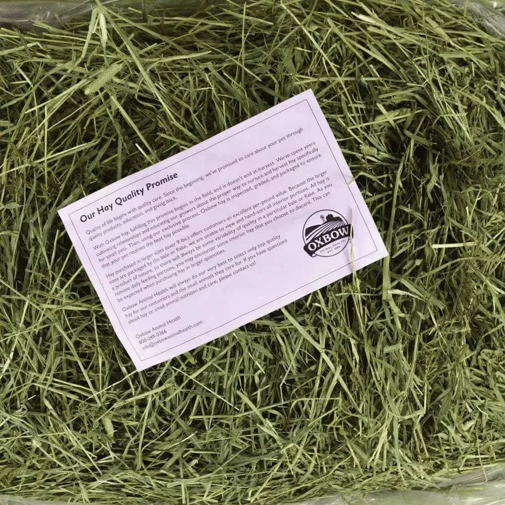 Oxbow Western Timothy Hay - 9lb - The Pet Source